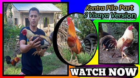 sabong youtube.